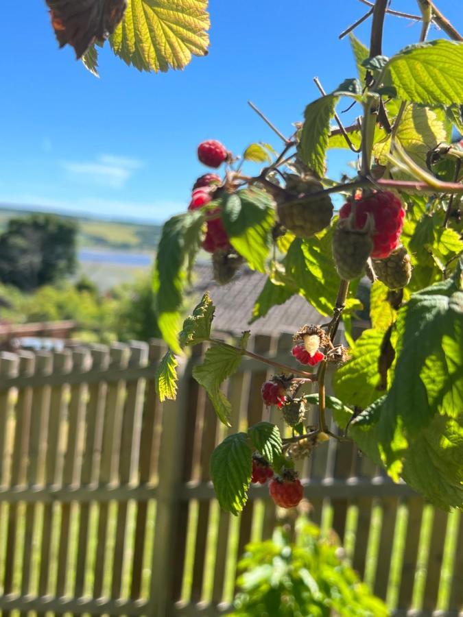 Black Isle View Διαμέρισμα Dingwall Εξωτερικό φωτογραφία