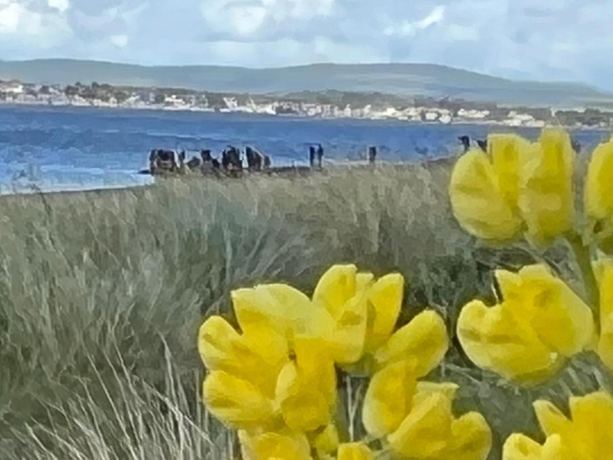 Black Isle View Διαμέρισμα Dingwall Εξωτερικό φωτογραφία