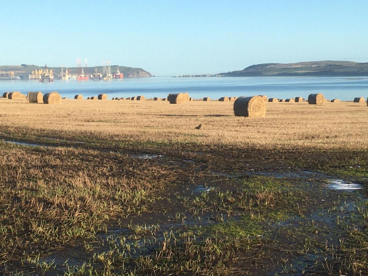 Black Isle View Διαμέρισμα Dingwall Εξωτερικό φωτογραφία
